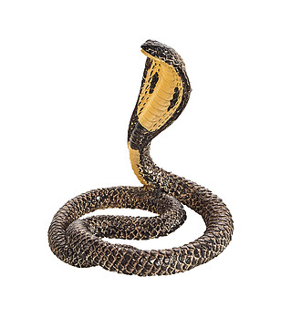 Малка фигурка Кралска кобра снимка