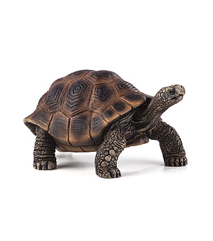 Малка фигурка на Гигантска костенурка снимка