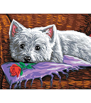 Картина за рисуване по номера Кучето Ромео 40х30 см снимка