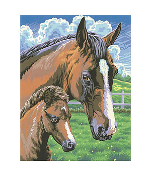 Картина за рисуване по номера Коне 23x30 см снимка