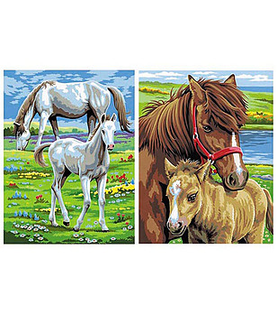 Две картини за рисуване по номера Коне снимка