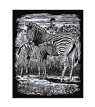 Комплект за гравиране сребърна основа Зебри снимка