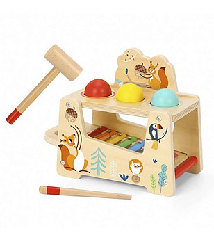 Ксилофон с топки и чукче Горски свят снимка