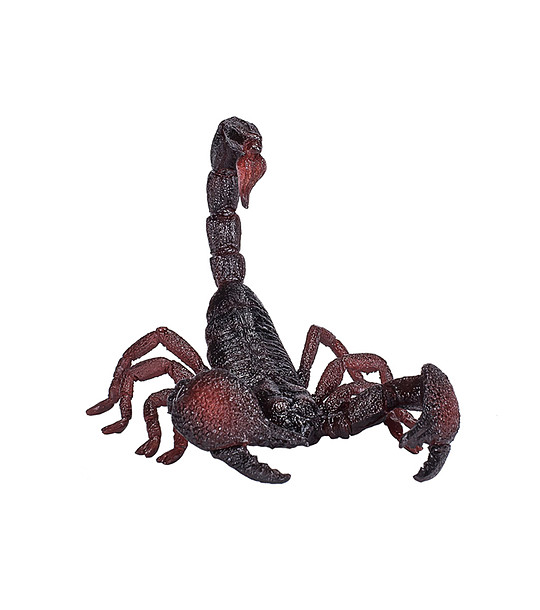 Малка фигурка Императорски скорпион снимка