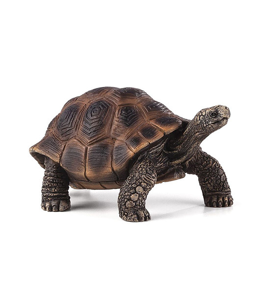 Малка фигурка на Гигантска костенурка снимка