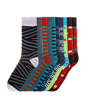 Комплект от 10 чифта мъжки чорапи Sylas снимка