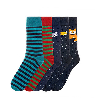 Комплект от 5 чифта мъжки чорапи Erik снимка