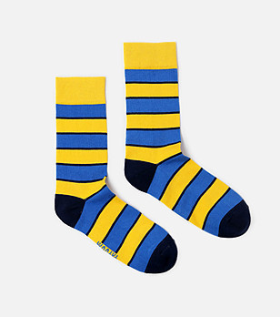 Мъжки чорапи в жълто и синьо Darvin снимка