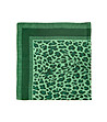 Дамски шал в зелени нюанси с леопардов принт Alla-1 снимка