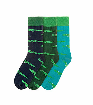 Комплект от 3 чифта мъжки памучни чорапи Arden снимка