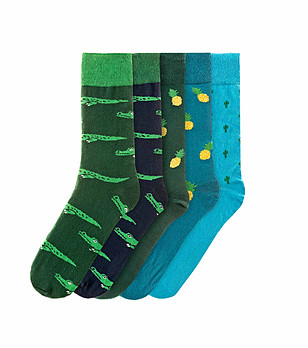 Комплект от 5 чифта мъжки памучни чорапи Bruno снимка