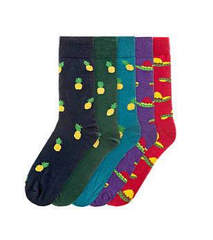 Комплект от 5 чифта мъжки памучни чорапи Acilio снимка