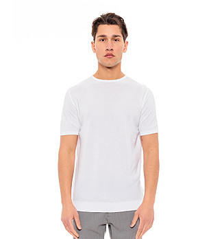 Мъжка памучна тениска в бял цвят Alfred снимка