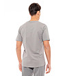 Мъжка памучна тениска с принт в предната част в сив цвят Zam-1 снимка