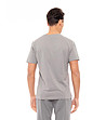 Мъжка памучна тениска в сив цвят с надпис лого Delan-1 снимка