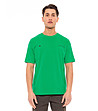Мъжка памучна тениска в зелен цвят с надпис Chester-0 снимка