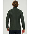 Мъжки тъмнозелен памучен пуловер с плетеници Aldo-1 снимка