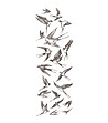 Декоративен стикер Swallows-1 снимка