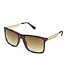 Кафяви мъжки слънчеви очила със златисти дръжки-0 снимка