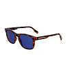 Мъжки слънчеви очила в кафява хавана и сини лещи-0 снимка