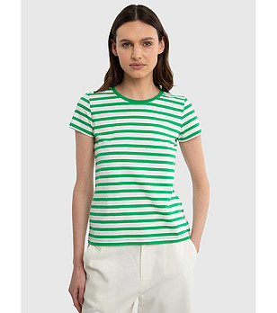 Памучна мъжка тениска на райе в зелено и бяло Salinsa снимка