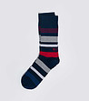 Мъжки многоцветни чорапи Blum-0 снимка
