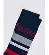 Мъжки многоцветни чорапи Blum-1 снимка