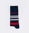 Мъжки многоцветни чорапи Blum-2 снимка