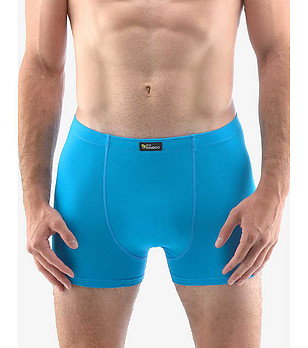 Мъжки боксерки в синьо снимка