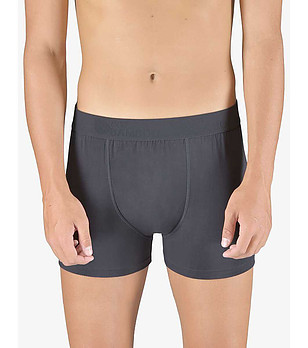 Тъмносиви мъжки боксерки снимка