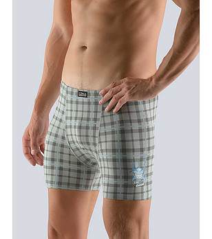 Сиви мъжки боксерки на каре снимка