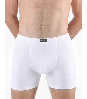 Мъжки боксерки в бяло снимка