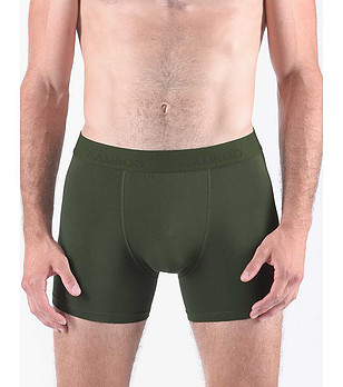 Мъжки боксерки в тъмнозелено снимка