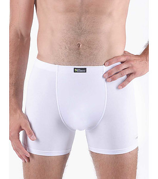 Бели мъжки боксерки снимка