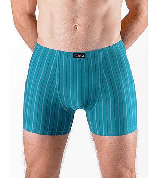 Мъжки памучни боксерки в синьо-зелен нюанс на райе снимка