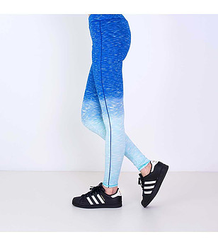 Дамски клин в сини нюанси снимка