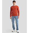 Мъжки памучен пуловер в цвят керемида NEILON-3 снимка