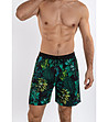 Мъжки плажни шорти със зелен принт Heros-2 снимка