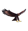Малка фигурка Скален орел-2 снимка