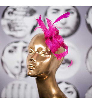 Фасинатор Mysterious в циклама снимка