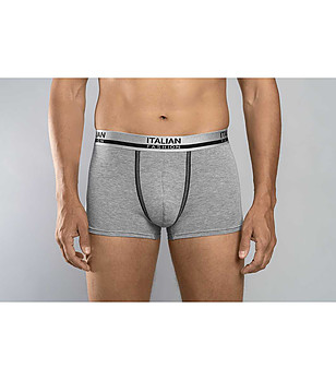 Сиви мъжки боксерки Umberto снимка