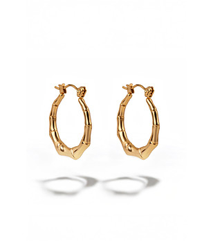 Дамски обеци със златно покритие Alvara снимка