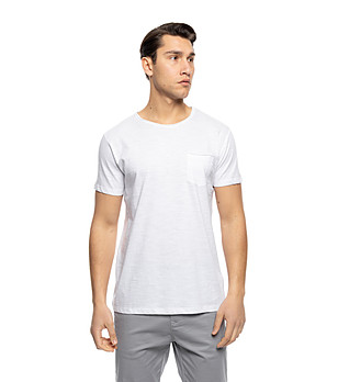 Памучна мъжка тениска в бяло Chester снимка