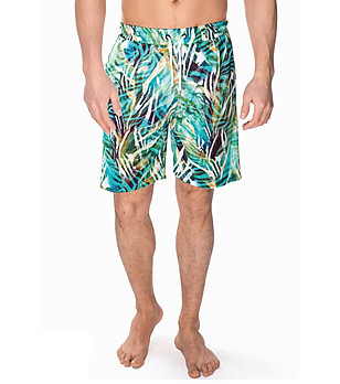 Мъжки многоцветни плажни шорти Van снимка