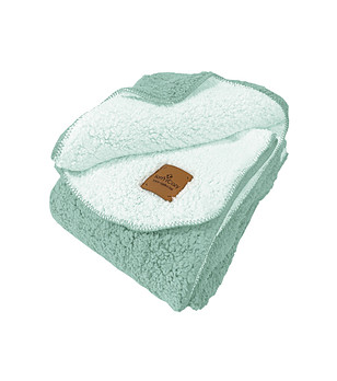 Meкo oдеяло Soft and Cozy в мента и бяло 150/200 см снимка