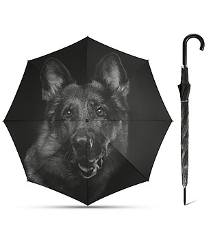 Автоматичен, ветроустойчив чадър с принт Black dog снимка