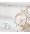 Ароматна свещ BLACK FOREST -1 снимка