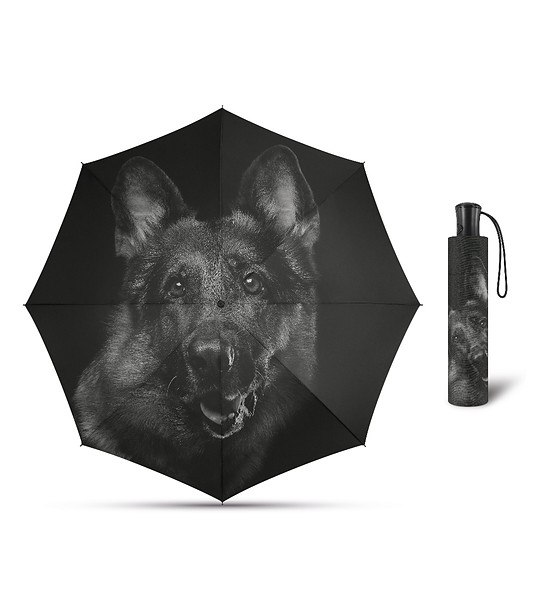 Мини автоматичен чадър в черно с принт куче снимка