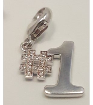 Сребриста висулка номер едно снимка