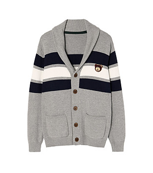 Мъжка жилетка в сиво Kordian с памук и вълна снимка